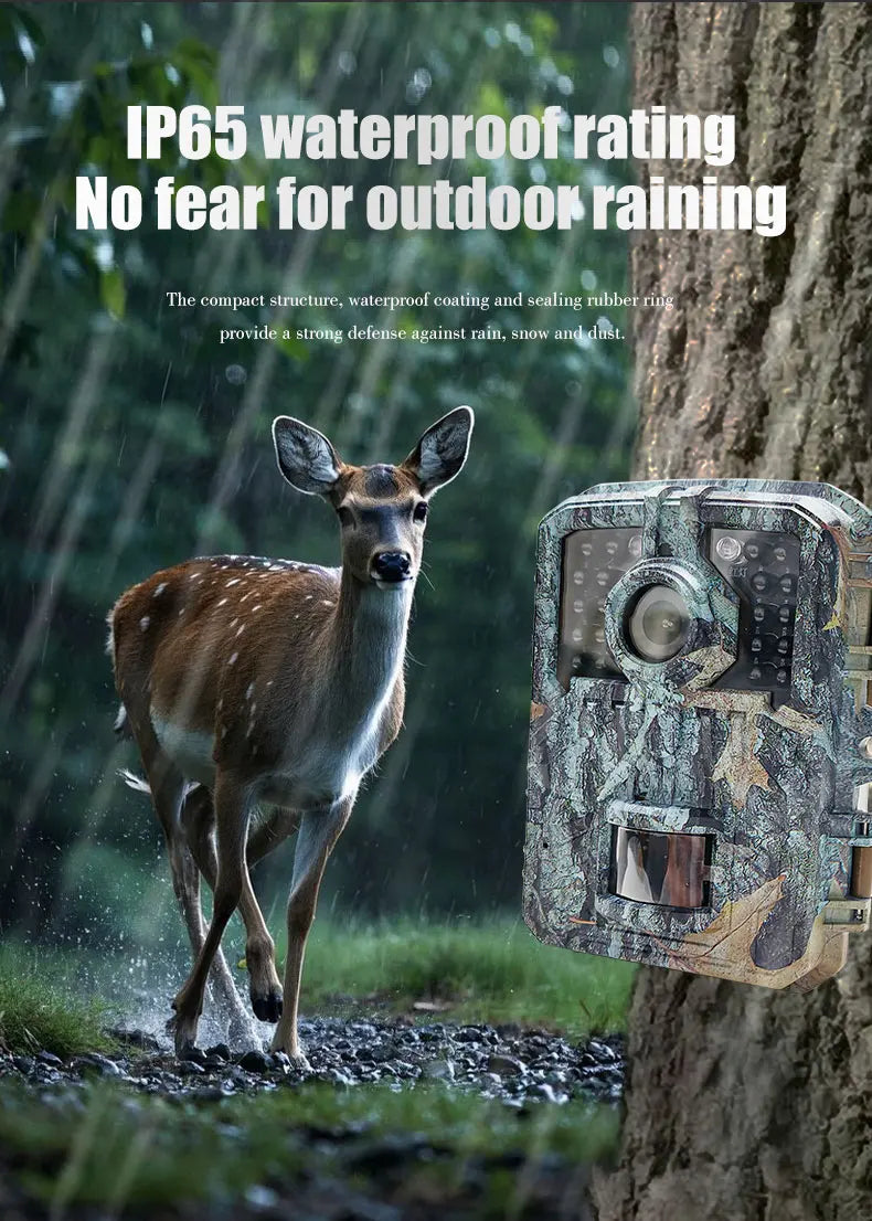 BORME Mini Trail Camera - MiniDL003 16MP 1080P - Night Vision Photo - Motion Camera