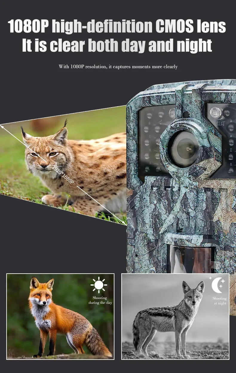 BORME Mini Trail Camera - MiniDL003 16MP 1080P - Night Vision Photo - Motion Camera