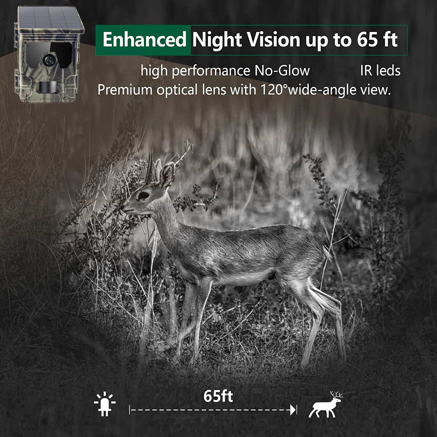 Solar Trail Camera - 30MP/2K Video - Solar Panel Charger -  Infrared Night Vision - Motion Camera