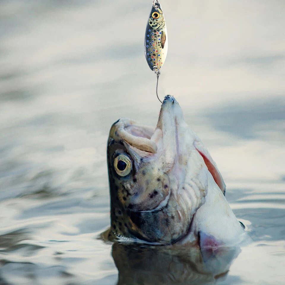 ANFS 1pc/5pc 5g Casting Spoon - Metal Fishing Lure
