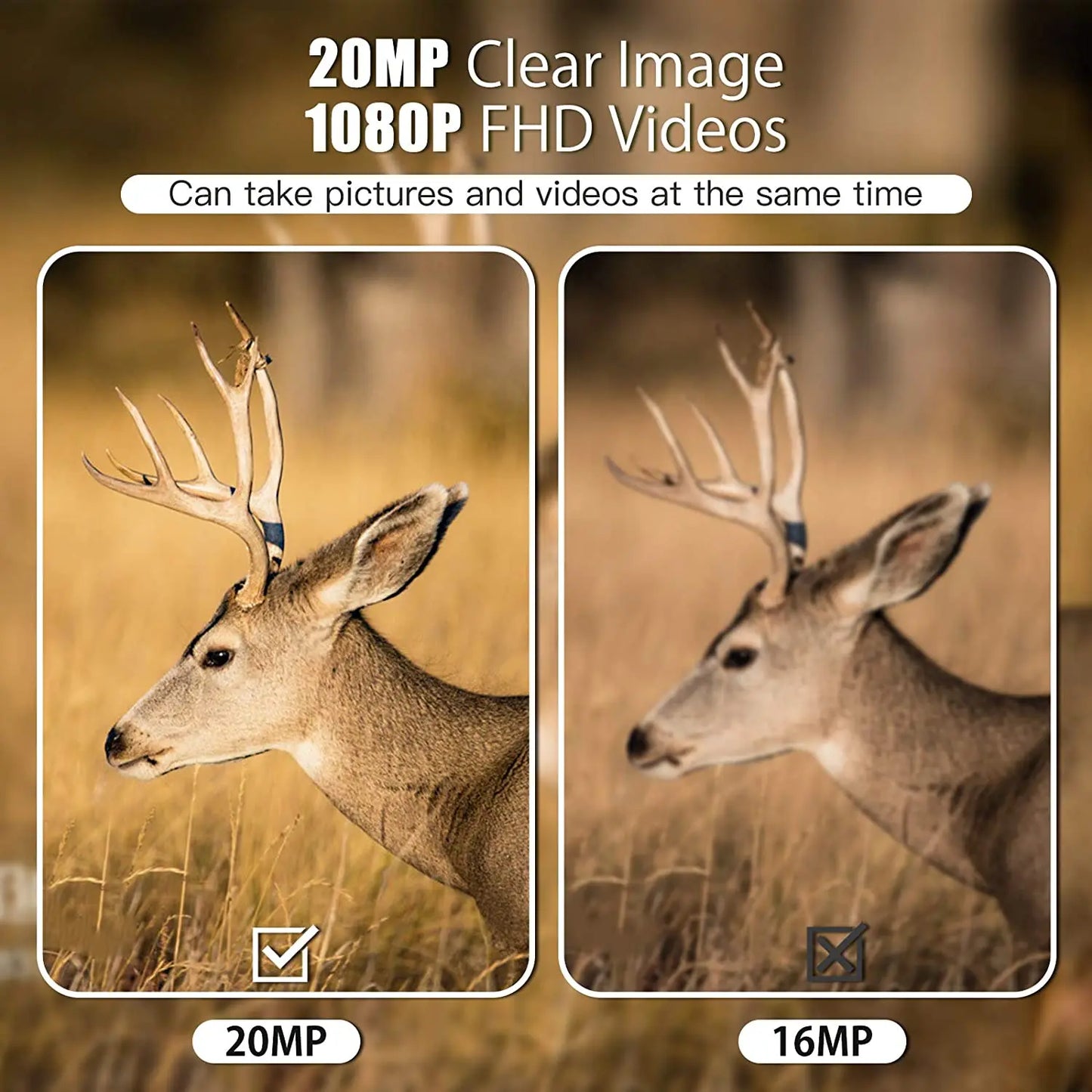 Suntek Mini Trail Camera - Mini600 20MP 1080P Wildlife - Night Vision
